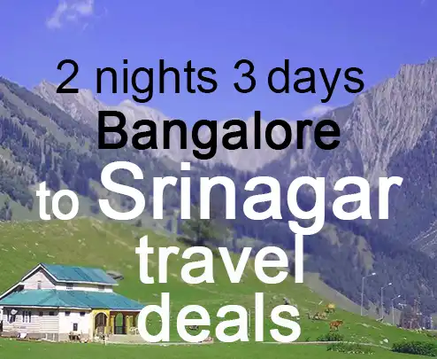 2 nights 3 days bangalore to srinagar travel deals