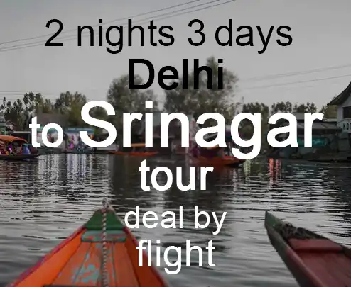2 nights 3 days delhi to srinagar tour deal by flight
