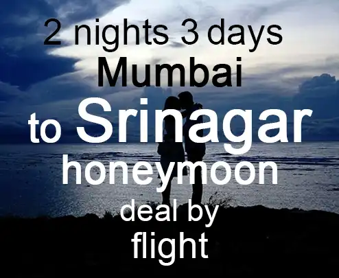 2 nights 3 days mumbai to srinagar honeymoon deal by flight