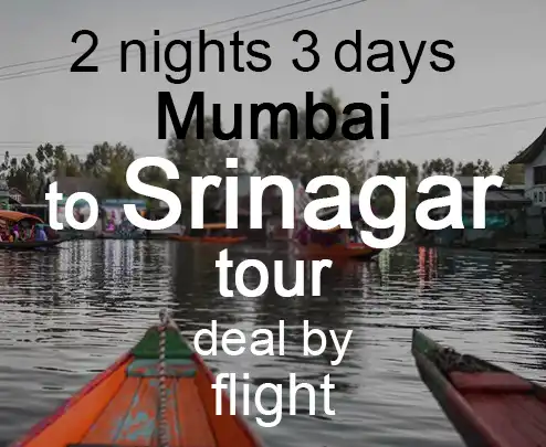 2 nights 3 days mumbai to srinagar tour deal by flight