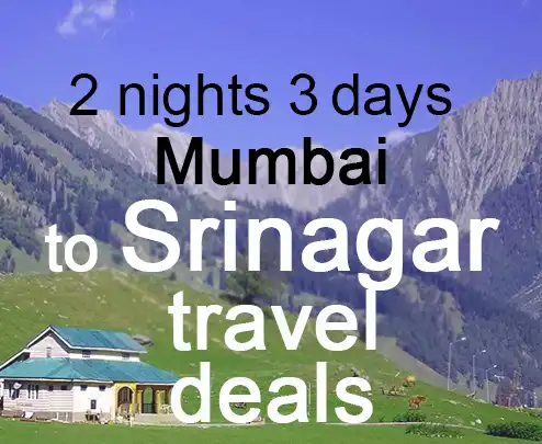 2 nights 3 days mumbai to srinagar travel deals