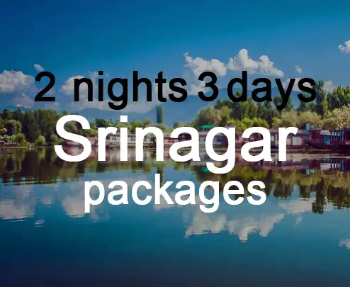 2 nights 3 days srinagar packages