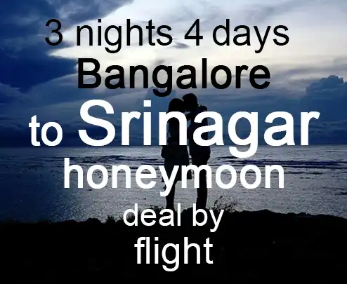 3 nights 4 days bangalore to srinagar honeymoon deal by flight