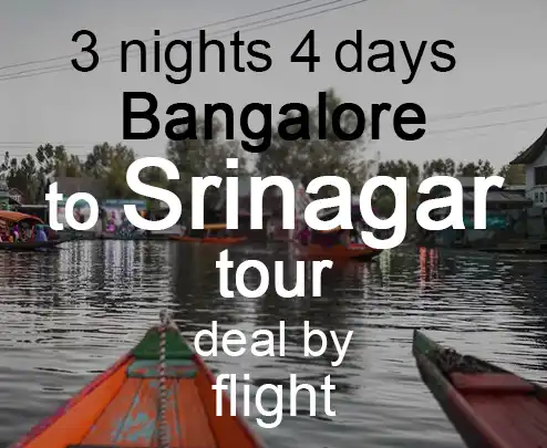 3 nights 4 days bangalore to srinagar tour deal by flight