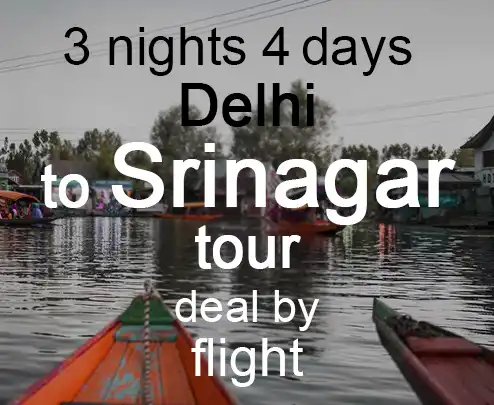 3 nights 4 days delhi to srinagar tour deal by flight