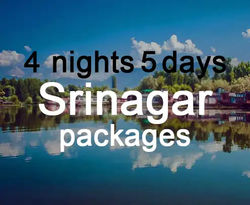 4 nights 5 days srinagar packages