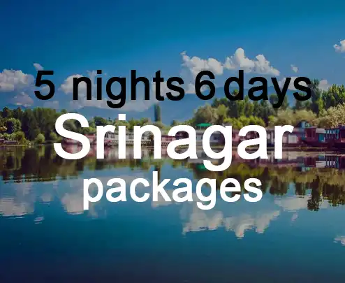 5 nights 6 days srinagar packages