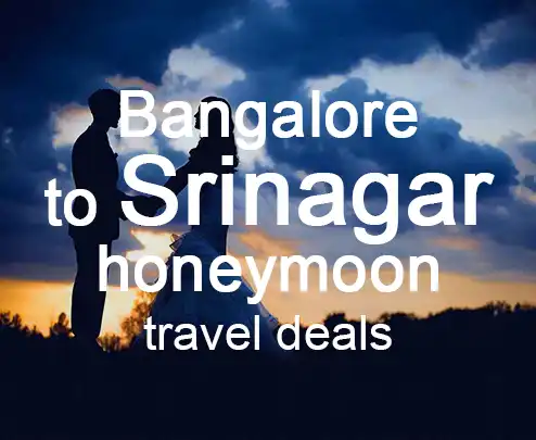 Bangalore to srinagar honeymoon travel deals