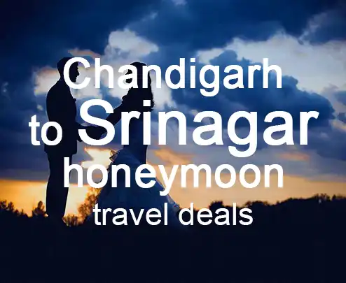 Chandigarh to srinagar honeymoon travel deals