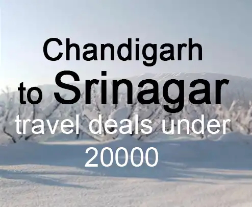 Chandigarh to srinagar travel deals under 20000