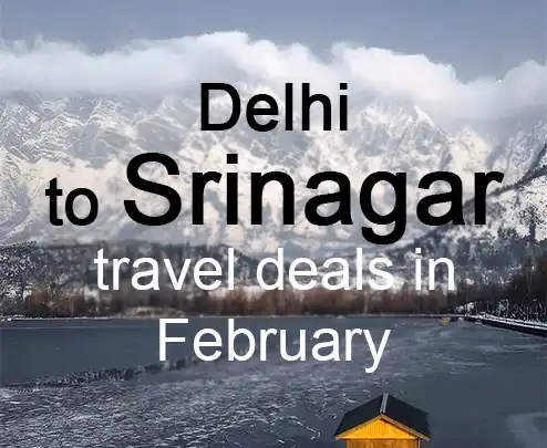 Delhi to srinagar travel deals in february