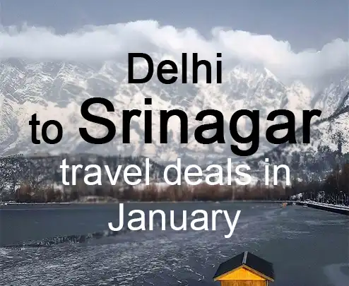 Delhi to srinagar travel deals in january
