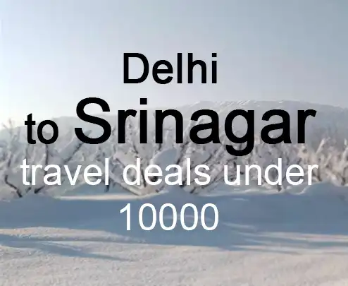 Delhi to srinagar travel deals under 10000