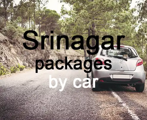 Srinagar packages by car