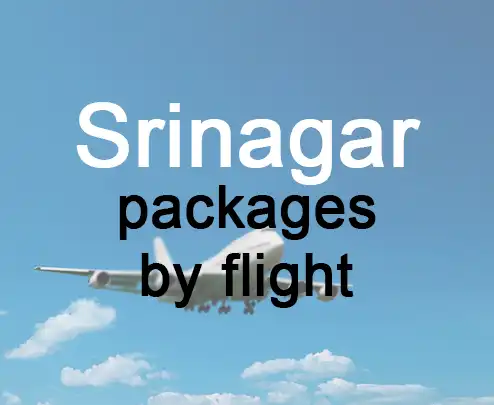 Srinagar packages by flight