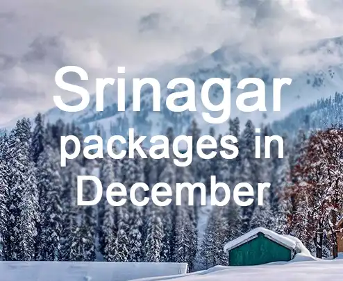 Srinagar packages in december