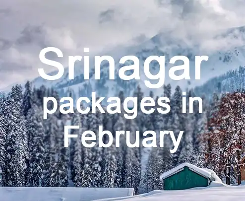 Srinagar packages in february