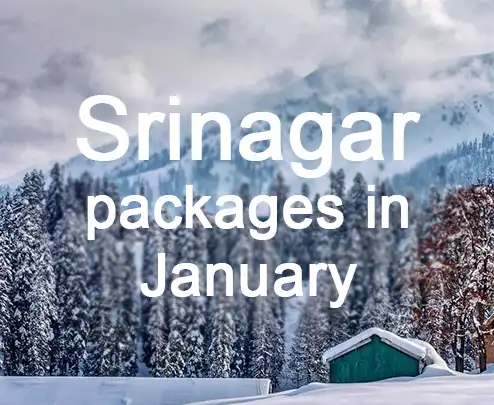 Srinagar packages in january