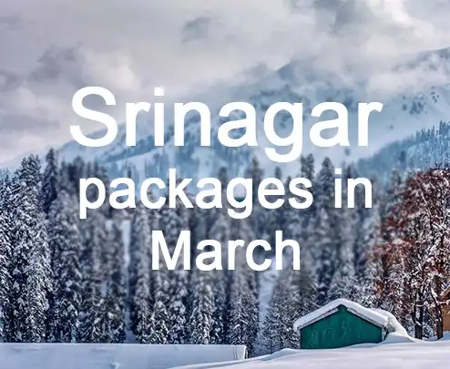 Srinagar packages in march