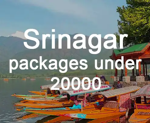 Srinagar packages under 20000