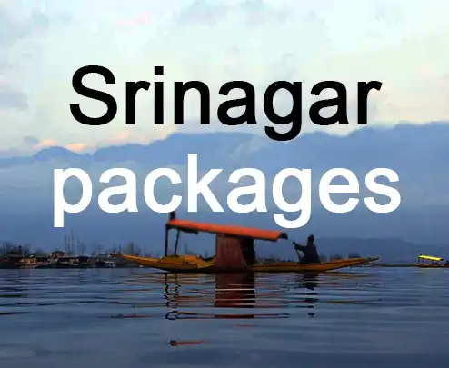 Srinagar packages
