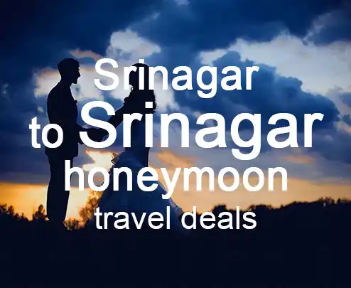 Srinagar to srinagar honeymoon travel deals