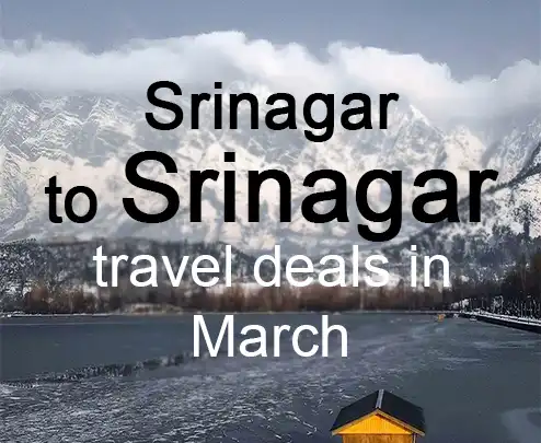 Srinagar to srinagar travel deals in march