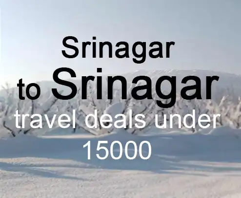 Srinagar to srinagar travel deals under 15000