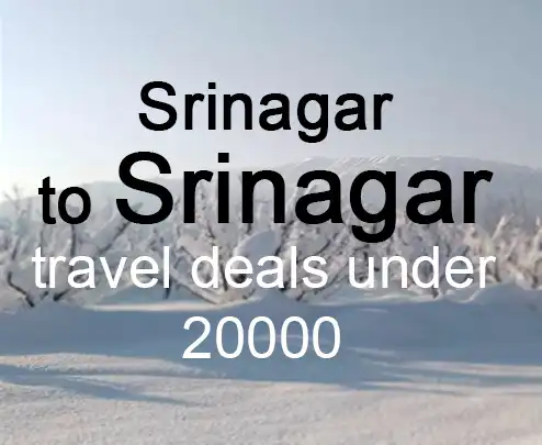 Srinagar to srinagar travel deals under 20000